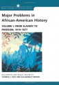 Major Problems in African-American History, Volume I: From Slavery to Freedom, 1619-1877: Documents and Essays - Thomas C. Holt