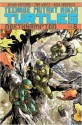 Teenage Mutant Ninja Turtles, Volume 8: Northampton - Tom Waltz, Kevin Eastman, Ross Campbell