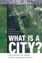 What Is a City?: Rethinking the Urban after Hurricane Katrina - Phil Steinberg, Rob Shields