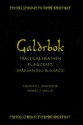 Galdrbok: Practical Heathen Runecraft, Shamanism and Magic - Nathan J Johnson, Robert Wallis