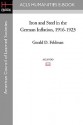 Iron and Steel in the German Inflation, 1916-1923 - Gerald D. Feldman