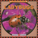 Ladybugs - Susan Ashley