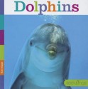 Dolphins - Kate Riggs