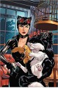 Catwoman/Tweety and Sylvester Special #1 (DC Meets Looney Tunes) - Gail Simone, Iñaki Miranda, Walter Carzon, Emanuela Lupacchino, Sandy Jarrell, Shea Fontana