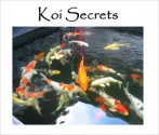 Koi Secrets: An Owner's Guide on Care and Maintenance of Koi Fish & Koi Ponds - Mike Andrews