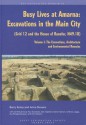 Busy Lives at Amarna: Excavations in the Main City (Grid 12 and the House of Ranefer, N49.18) Volume I: The Excavations, Architecture and Environmental Remains - Barry Kemp, Anna Stevens