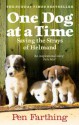 One Dog at a Time: Saving the Strays of Helmand - An Inspiring True Story - Pen Farthing