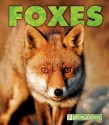 Foxes - Mary Ann McDonald