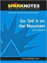 Go Tell it on the Mountain (SparkNotes Literature Guide Series) - James Baldwin