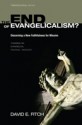 The End of Evangelicalism? Discerning a New Faithfulness for Mission: Towards an Evangelical Political Theology - David E. Fitch