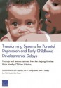 Transforming Systems for Parental Depression and Early Childhood Developmental Delays: Findings and Lessons Learned from the Helping Families Raise Healthy Children Initiative - Dana Schultz, Kerry A Reynolds, Lisa M Sontag-Padilla, Susan L Lovejoy, Ray Firth, Harold Alan Pincus