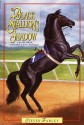 The Black Stallion's Shadow (Black Stallion Series) - Steven Farley