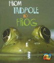 From Tadpole to Frog - Anita Ganeri