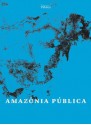 Amazônia Pública - Marina Amaral, Ana Aranha, Carlos Juliano Barros, Sue Branford, Jessica Mota, Ana Castro, Tânia Rabello, Agência Pública