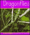 Dragonflies (Insects) (Pebble Books) - Cheryl Coughlan