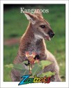 Kangaroos (Zoobooks Series) - Beth Wagner Brust