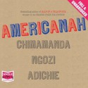 Americanah - Chimamanda Ngozi Adichie