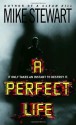 A Perfect Life - Mike Stewart