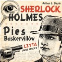 Pies Baskerville'ów - Arthur Conan Doyle