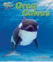 Orca Calves - Ruth Owen