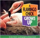 A Flamingo Chick Grows Up - Joan Hewett, Richard Hewett