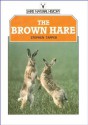 The Brown Hare - Stephen Tapper