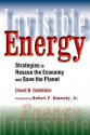 Invisible Energy: Strategies to Rescue the Economy and Save the Planet - David Goldstein