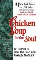 Chicken Soup for the Soul - Jack Canfield, Mark Victor Hansen