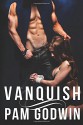 Vanquish - Pam Godwin