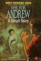 Time for Andrew: A Ghost Story - Mary Downing Hahn