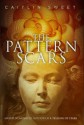 Pattern Scars - Caitlin Sweet