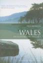 Wales: An Illustrated History - Prys Morgan