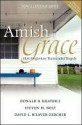 Amish Grace: How Forgiveness Transcended Tragedy - Donald B. Kraybill, Steven M. Nolt, David Weaver-Zercher