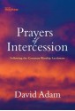 Prayers of Intercession - David Adam