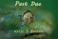 Past Due - Kathi S. Barton