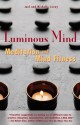 Luminous Mind: Meditation and Mind Fitness - Joel Levey, Joan Borysenko, Michelle Levey