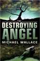 Destroying Angel (Righteous Series #5) - Michael Wallace