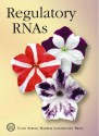 Regulatory RNAs - Bruce Stillman