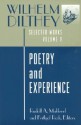 Poetry and Experience (Selected Works, Vol 5) - Wilhelm Dilthey, Rudolf A. Makkreel, Frithjof Rodi