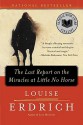 The Last Report on the Miracles at Little No Horse - Louise Erdrich