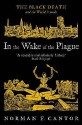 In the Wake of the Plague (Central Asian Studies) - Norman F. Cantor