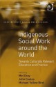 Indigenous Social Work Around the World: Towards Culturally Relevant Education and Practice - Mel Gray, John M. Coates