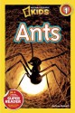 National Geographic Readers: Ants - Melissa Stewart