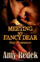 Meeting My Fancy Dear - Amy Redek