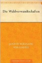 Die Wahlverwandtschaften - Johann Wolfgang von Goethe