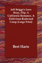 Jeff Briggs's Love Story, Flip: A California Romance, a Drift from Redwood Camp - Bret Harte