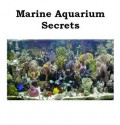 Marine Aquarium Secrets: An Owner's Guide to a Fun and Fascinating Saltwater Aquarium - Mike Andrews