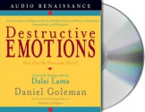 Destructive Emotions: How Can We Overcome Them?: A Scientific Dialogue with the Dalai Lama - Daniel Goleman