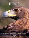 Birds - Encyclopaedia Britannica, Encyclopaedia Britannica