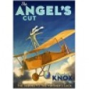 The Angel's Cut - Elizabeth Knox